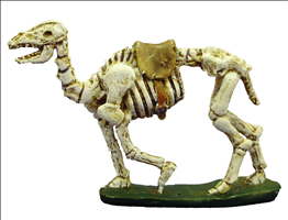 Skeleton Camel (Type 2)