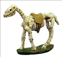 Skeleton Horse (Type 1)