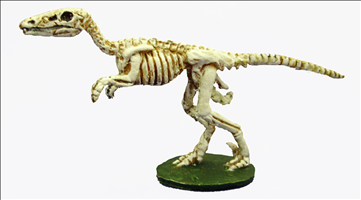 Skeleton Raptor (no sadle)