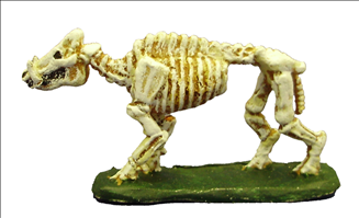 Skeletal Boar (without sadle)