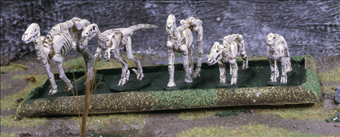 Set of 5 Skeleton Animals