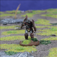 Orc Warrior 1 with Axe & Shield - Front view