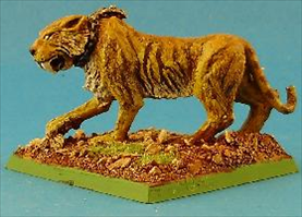 Giant Tiger- Side View
