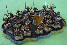 Large Skirmish Tray