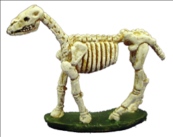 Skeletal Horse