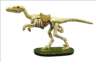 Skeleton Raptor (Type 1)