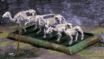 Set of 5 Skeleton Animals