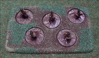 5 Figures on 20mm Round Bases