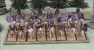 200x100mm Tray with 16 Cavalry