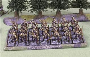 200x100mm Tray with 32 Infantry on 25mm Bases