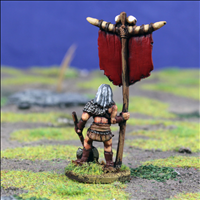 Standard Bearer - Rear View