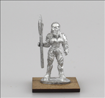 Armoured Human Warrior 5