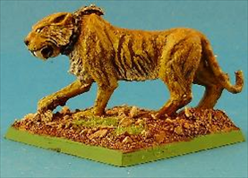 Barbarian Giant Tiger