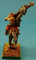 Mounted Standard Bearer- Rear View